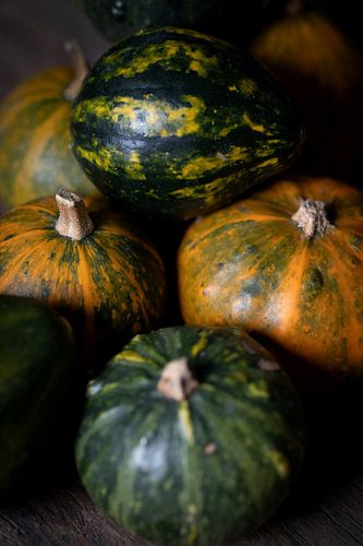 citrouilles/gourdes