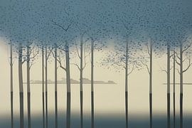 Forest of Shadows and Fog by Color Square