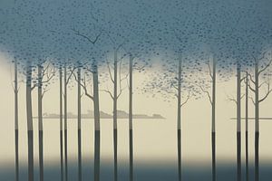 Wald der Schatten und des Nebels