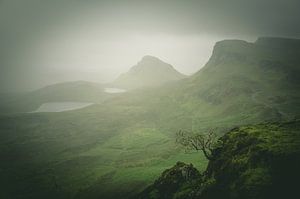 Brouillard sur le Quiraing