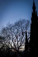 Blue Edinburgh