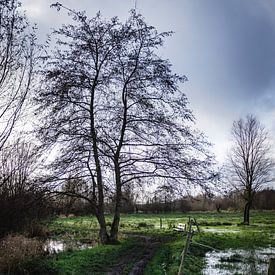 Footpath through the Common Meadow Brook by Mister Moret