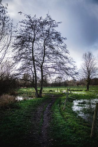 Wandelpad door de Gemene Weidebeek van Mister Moret