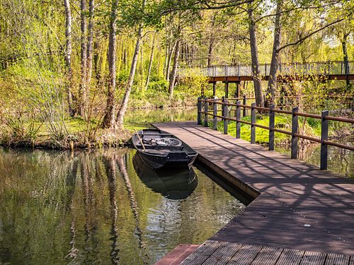 Kanoën in het Spreewald bij Lübbenau