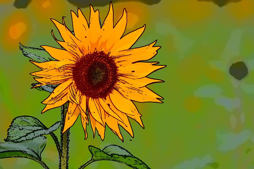 Sunflower by Tipworks