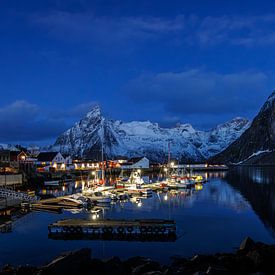 Lofoten Hafen in der Morgendämmerung von Harald Marchhart