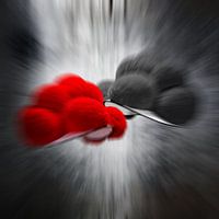 Zwarte Woud Bollen Hoed ART 6.1