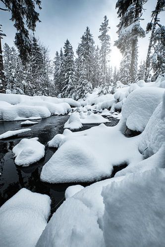 Neige