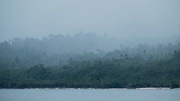 Regenwoud Indonesie van Andy Troy