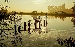 spiegeling in het water van Dirk van Egmond