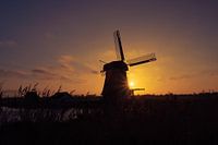 Moulin à vent De Woudaap