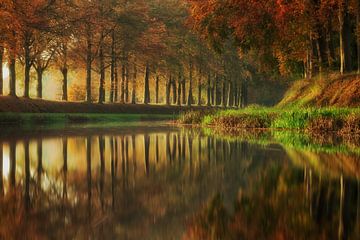 Autumn Reflections by Martin Podt