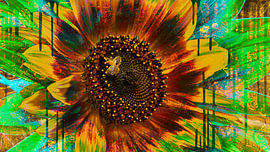 Farbenfrohe Sonnenblume mit vier Bienen – Explosive digitale Kunst von Saranda Foto Art