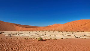 Le Deadvlei en Namibie