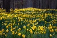 So weit das Auge reicht...