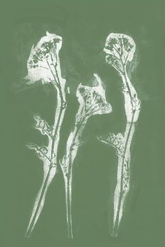 Witte bloemen in retrostijl. Moderne botanische minimalistische kunst in wit en groen van Dina Dankers