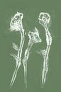 Witte bloemen in retrostijl. Moderne botanische minimalistische kunst in wit en groen van Dina Dankers thumbnail