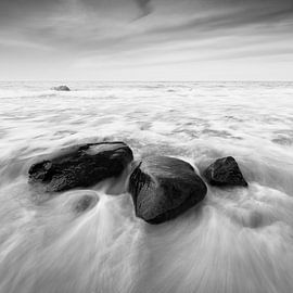 Little Family (b/w) von Florian Schmidt