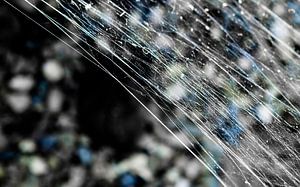 Kleurrijk spinnenweb van Stijn Cleynhens
