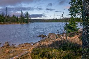 Der Oderteich im Harz
