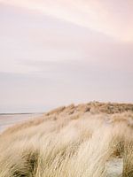 Les dunes d'Ameland | Photographie de plage pastel et colorée