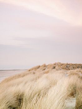 The dunes of Ameland | Colourful pastel beach photography