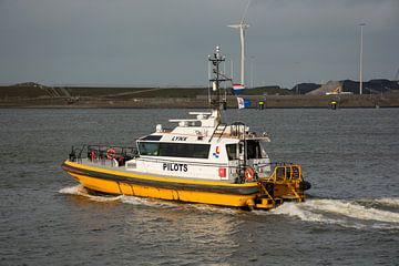 Loodstender Lynx onderweg in de haven IJmuiden van scheepskijkerhavenfotografie
