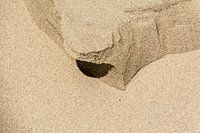 Zand van Scheveningen