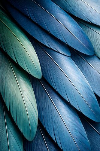 De golven van de oceaan