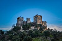 Medieval castle in Spain