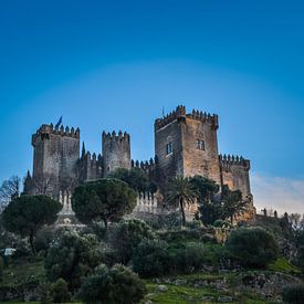 Medieval castle in Spain sur Sanne Lillian van Gastel