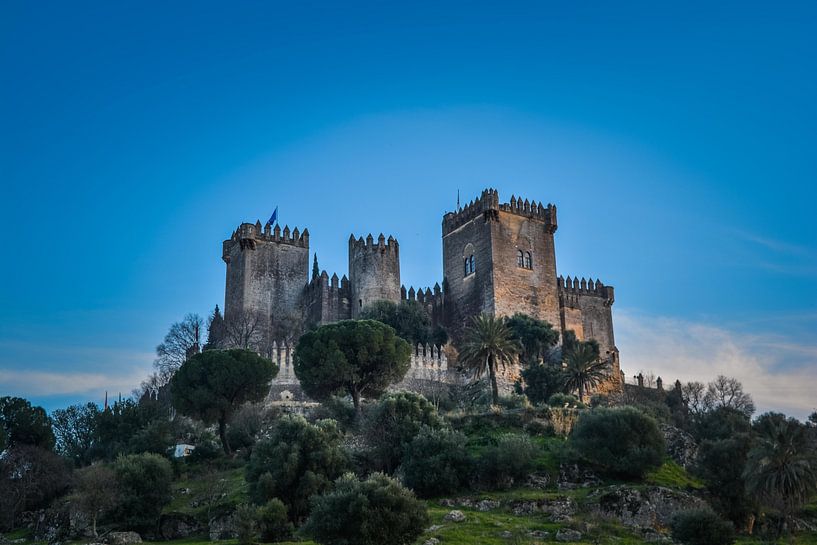 Mittelalterliches Schloss in Spanien by Sanne Lillian van Gastel