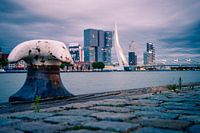 Zicht op de Kop van Zuid