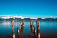 Torre del Lago Puccini, Italy, Tuscany