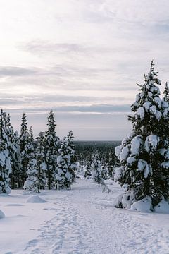 Verschneite Landschaft mit verschneiten Bäumen in Finnisch-Lappland | Polarkreis, Finnland von Suzanne Spijkers