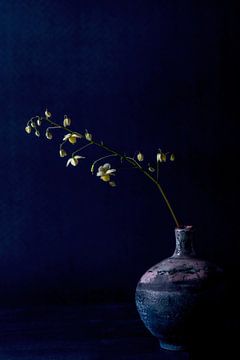 bloemetje op vaas van Hanneke Luit