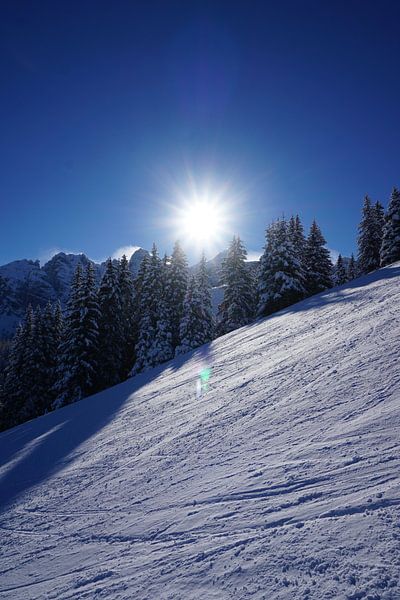 Verschneite Bäume und eine strahlende Sonne hinter der Skipiste in Axamer Lizum (Tirol, Österreich) von Kelly Alblas
