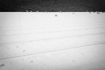 Besneeuwde trappen aan de Oeverwal in Maastricht van Streets of Maastricht