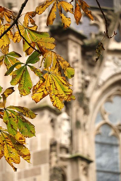 Autumn at St.Jans Church by Christel Smits