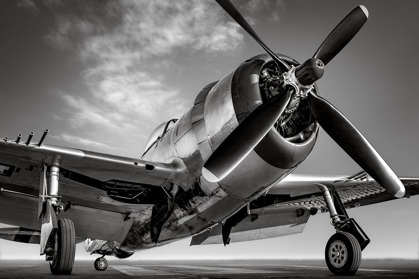 die thunderbold P47 von Frank Peters