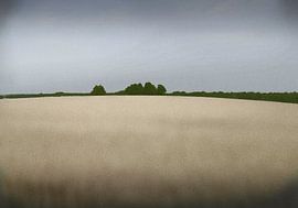 impressie van een zomer landschap