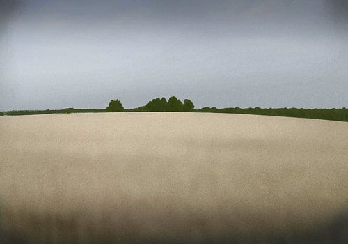 impressie van een zomer landschap