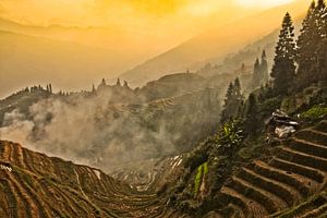 Le coucher de soleil écarlate. Paysage automnal brumeux avec des rizières en terrasses. Chine, Yangs sur Michael Semenov