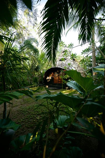 Srilanka von David Blok