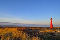 Schiermonnikoog panoramic view in the dunes with the lighthouse  by Sjoerd van der Wal Photography thumbnail
