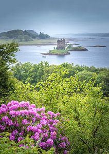 Blick zum Castle Stalker am Loch Linnhe, Appin