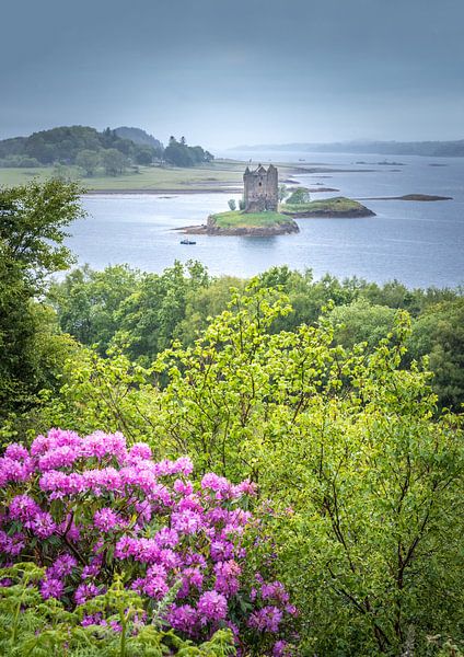 View to Castle Stalker at Loch Linnhe, Appin by Christian Müringer