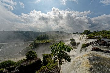 Iguazu watervallen Argentinië van x imageditor