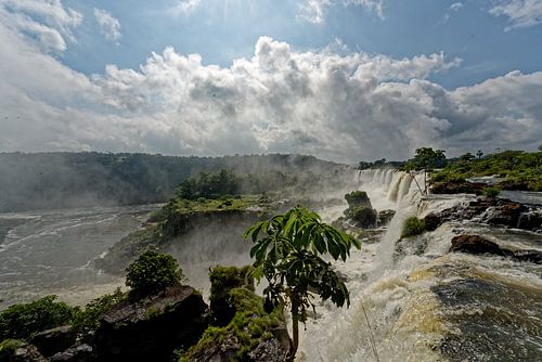 Iguazu watervallen Argentinië
