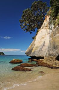 Klares Wasser an der Coromandel